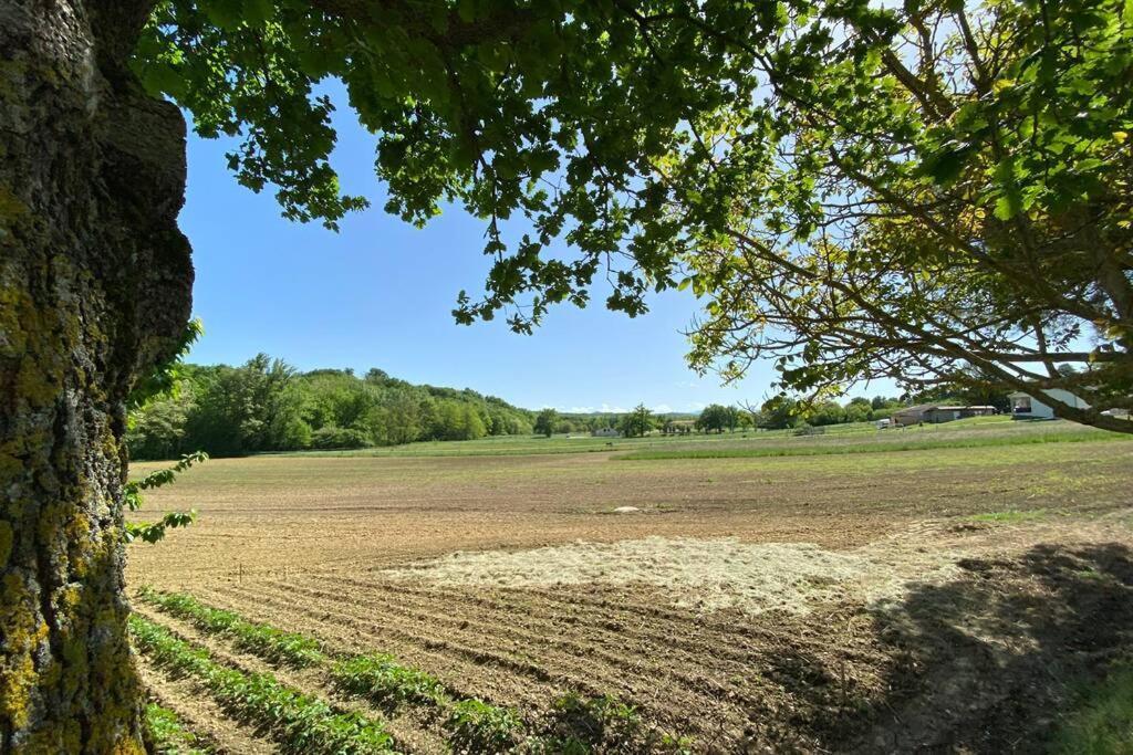 Gite Du Mercadal Les Pujols Pamiers Buitenkant foto